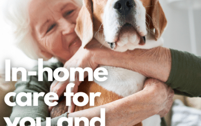 KompleteCare’s Pet Care Support: Enhancing Aged Care with Compassionate Pet Services