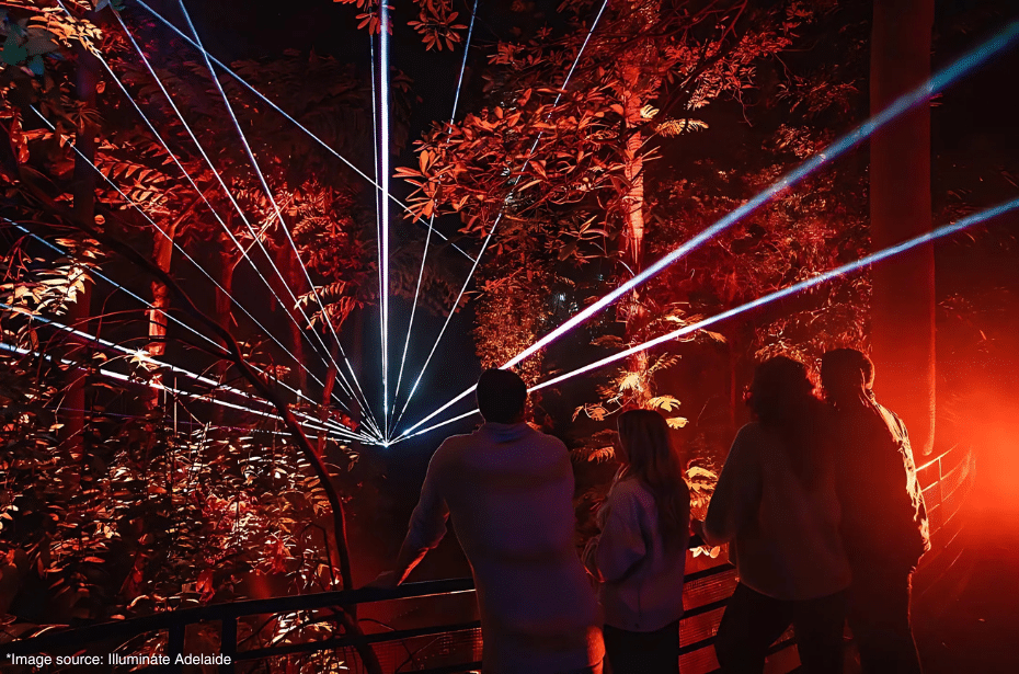 illuminate adelaide night visions botanic gardens light lasers projection 