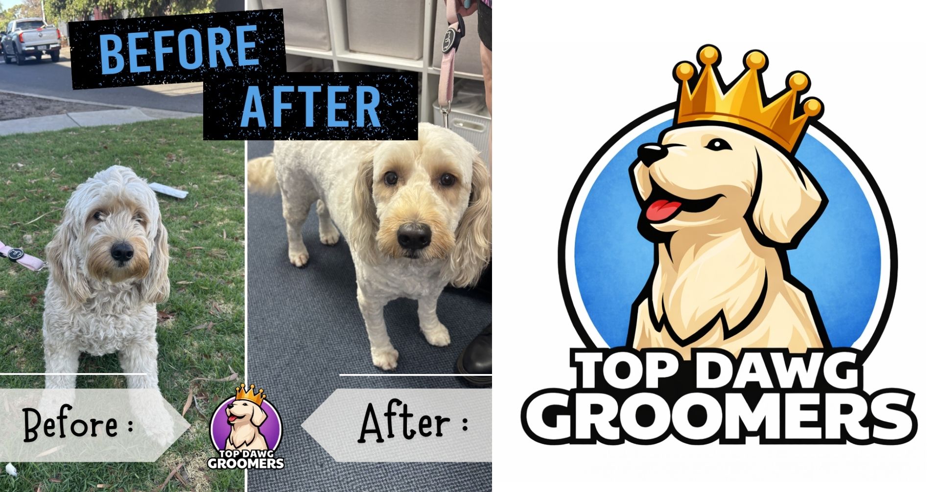 Dog grooming Adelaide