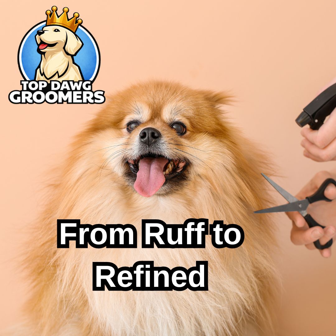 From Ruff to Refined: Why Adelaide Dogs Love Top Dawg Grooming