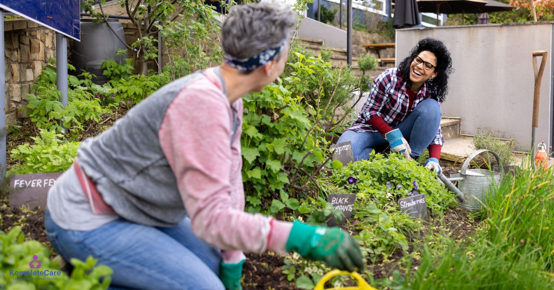 Disability and Aged Care