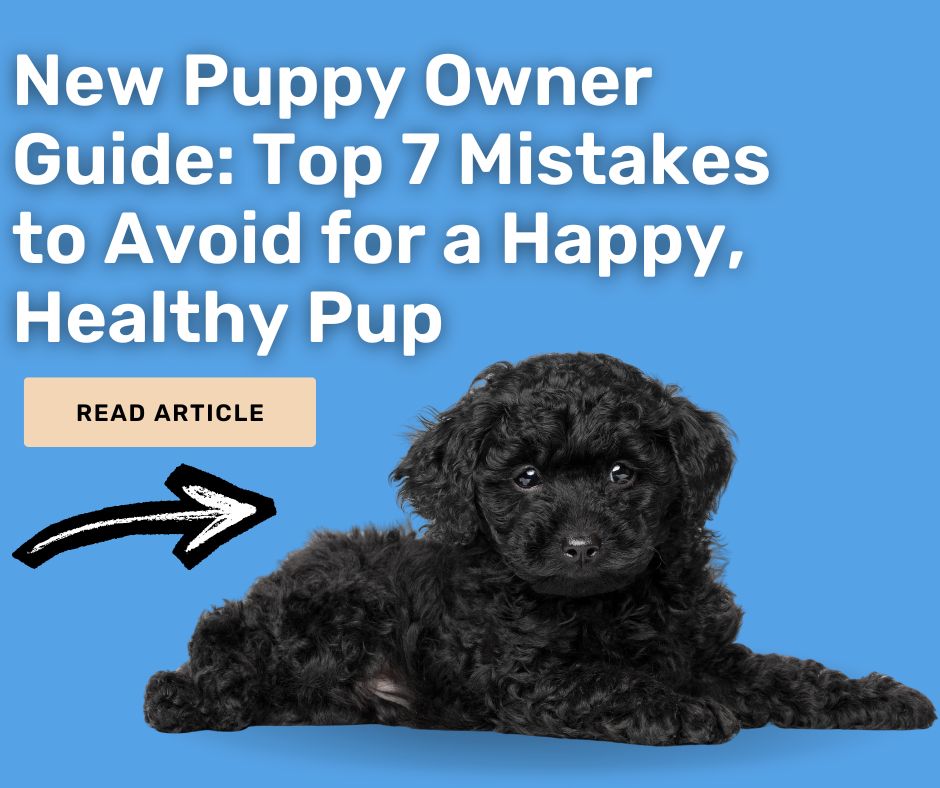 New Puppy Owner Guide: Top 7 Mistakes to Avoid for a Happy, Healthy Pup