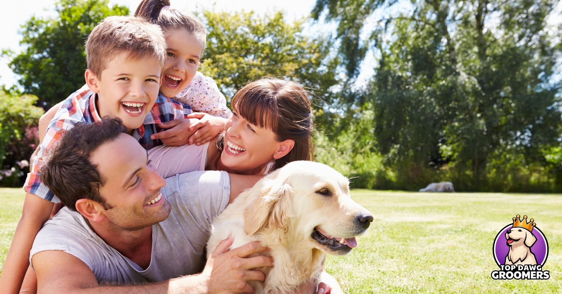 best dog breed for your lifestyle (1)