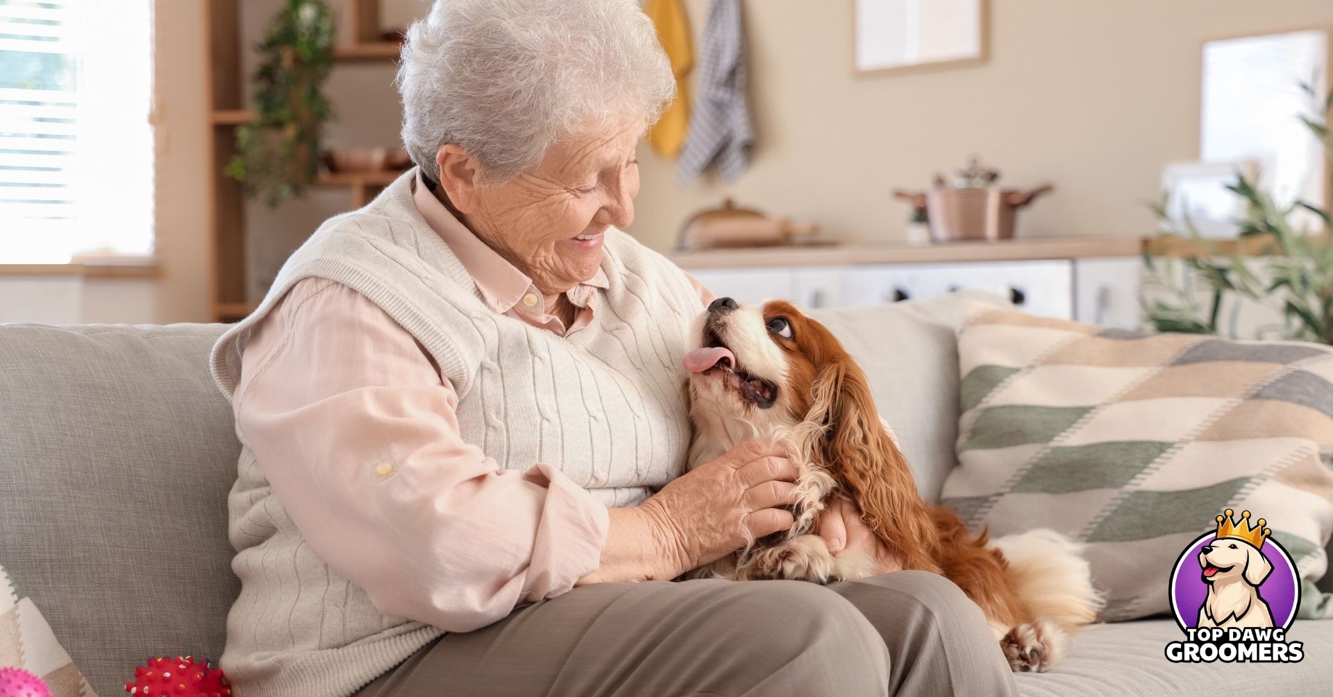 best dog breed for your lifestyle (3)