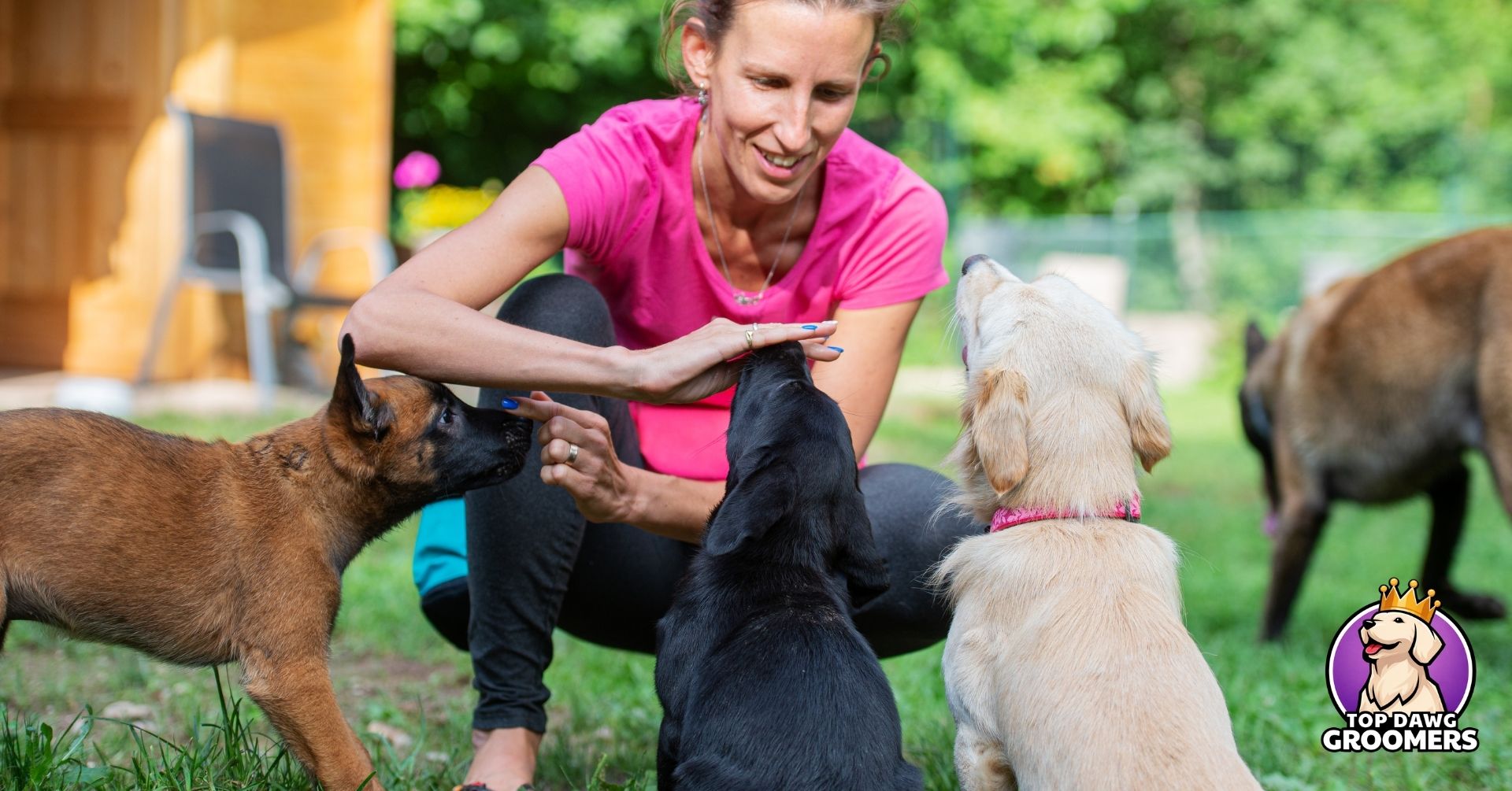 bond with your new puppy (3)