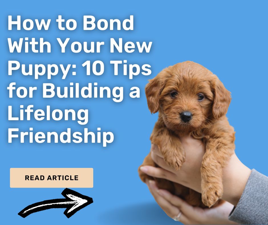 bond with your new puppy