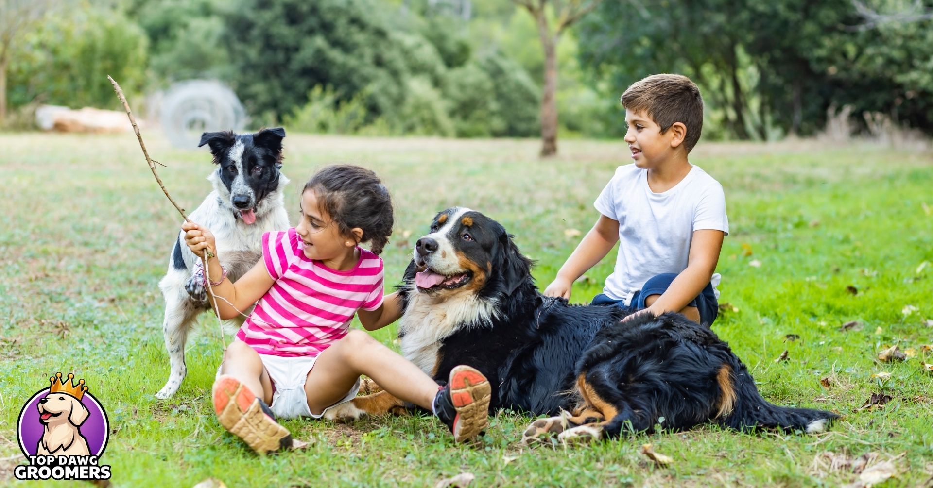 Kids and Dogs Safety Tips