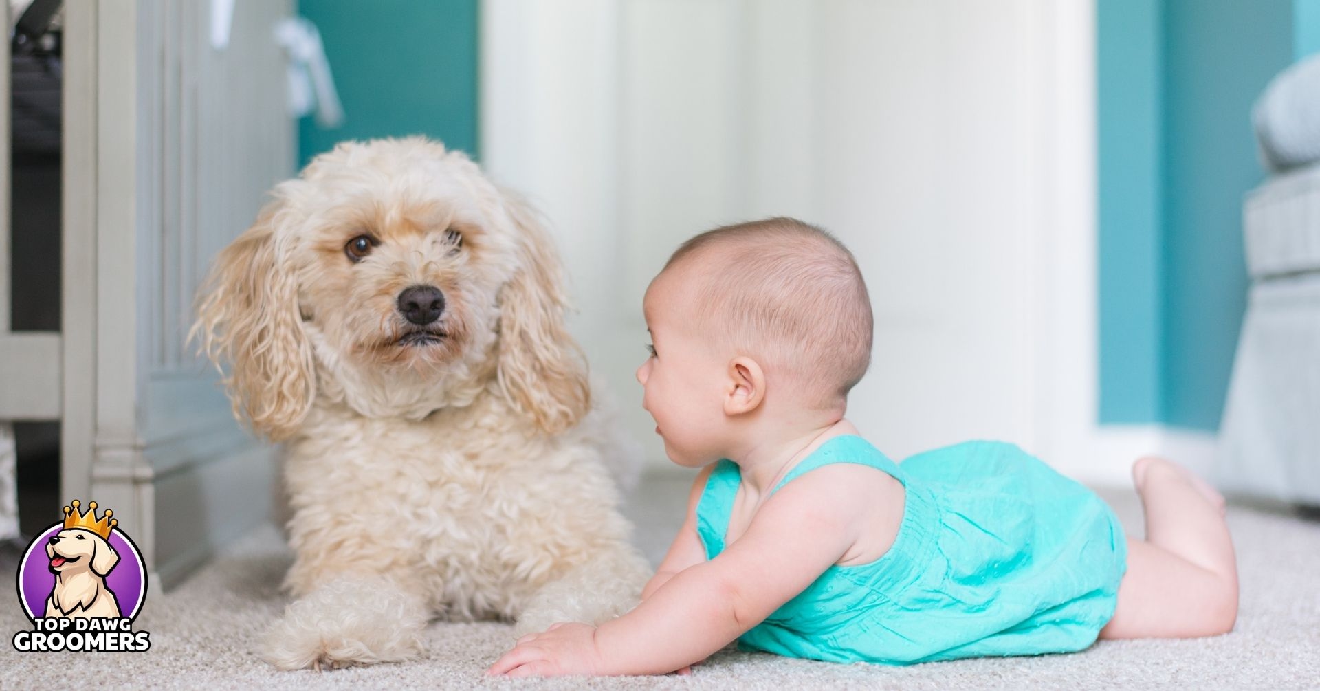 Kids and Dogs Safety Tips