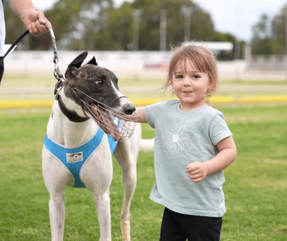Adopting a Greyhound