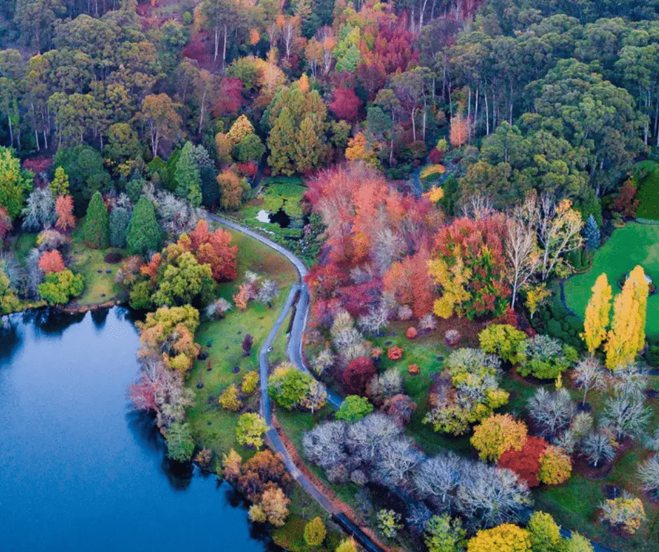 Spring in Adelaide