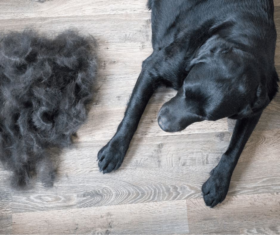 Shedding season