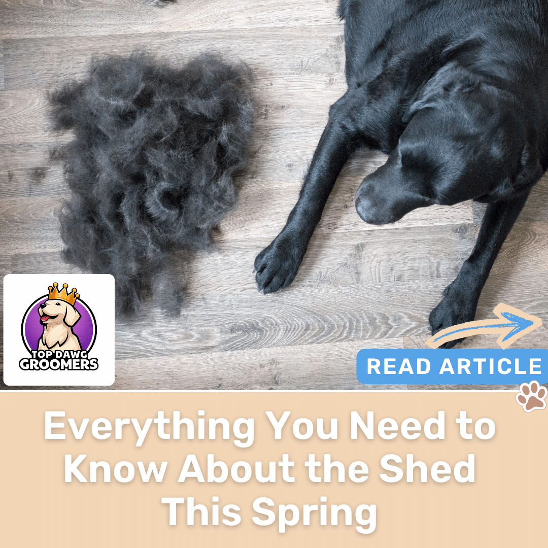 Shedding season